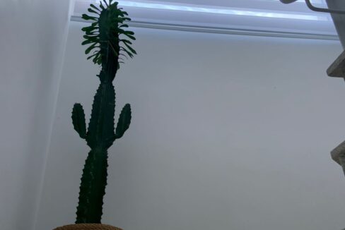 PHOTO-2022-08-29-19-35-31 (3)