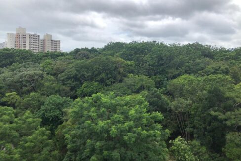 af33cb76-71b3-473e-9c30-cdca20a87dee