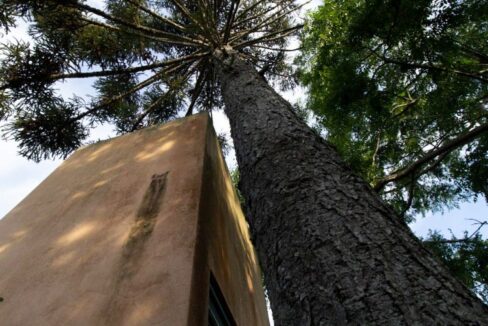 PHOTO-2023-02-23-17-03-32 (2)