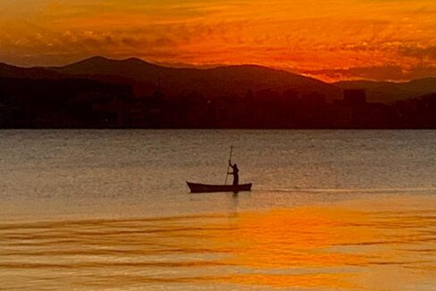 998f485c-a65b-4d43-becf-b7aef990a4b5