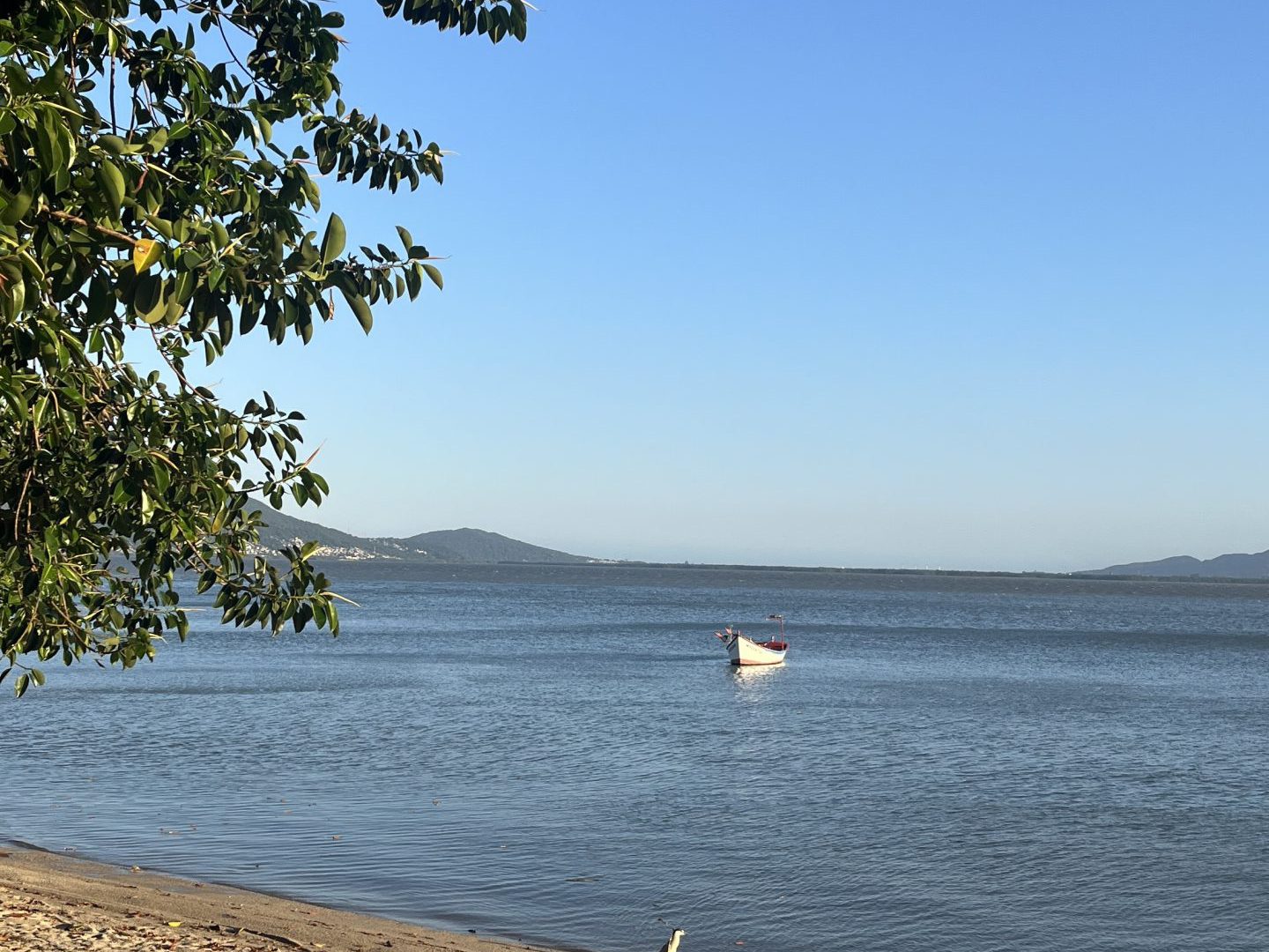 2 suítes em Coqueiros – prédio frente mar