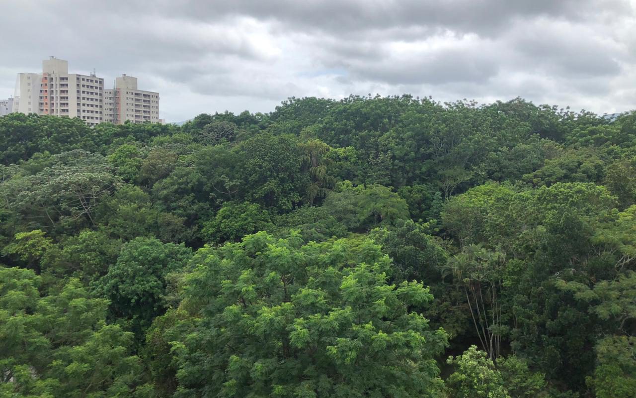Cobertura com vista eterna para Beira Mar Norte — foto 3